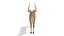 impala antelope 3D model