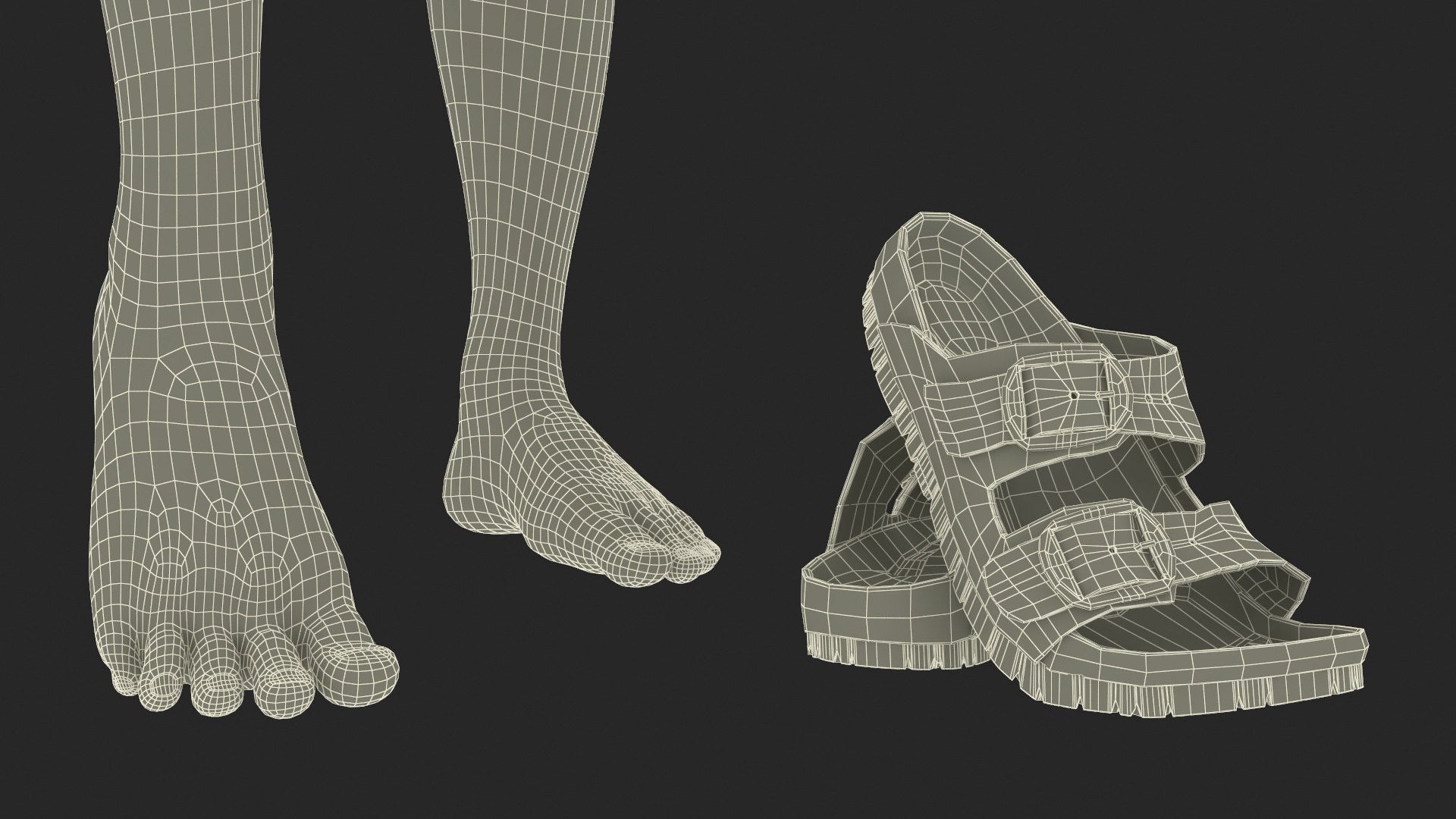 3D Womens Feet in Casual Flip-Flops https://p.turbosquid.com/ts-thumb/br/ul61RK/4Q/womensfeetincasualflipflopsc4dmodel035/jpg/1723912155/1920x1080/fit_q87/87bd49f23699941de044c43cd980a4f54b2d5b05/womensfeetincasualflipflopsc4dmodel035.jpg