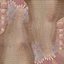 Womens Feet in Casual Flip-Flops