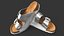 Womens Feet in Casual Flip-Flops