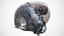 F-35 Flight Helmet Detailed PBR