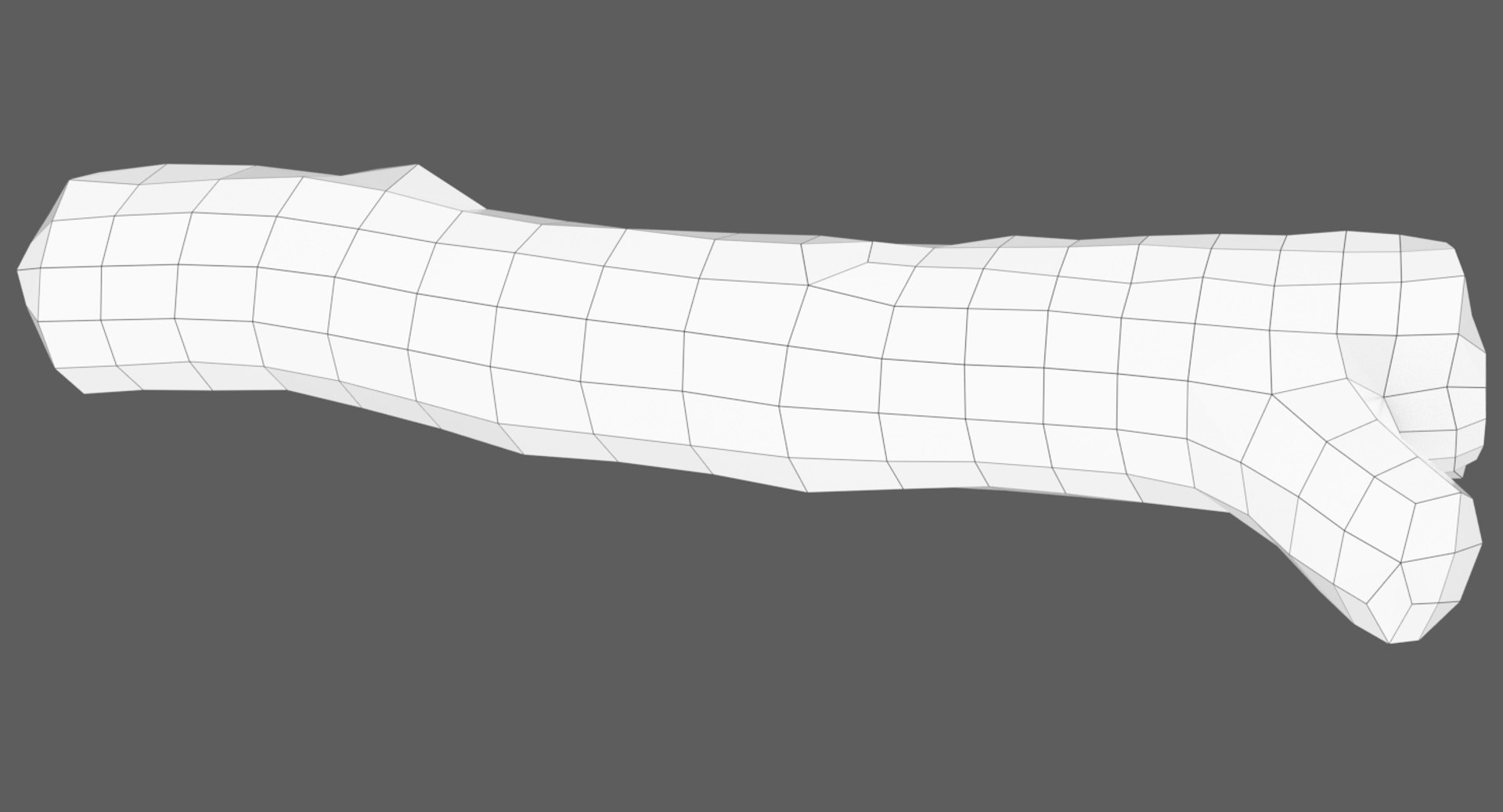 branch scanned 3D model https://p.turbosquid.com/ts-thumb/bs/2Iuj0u/lykP6vTw/branch6_wireframe1_1480pix/jpg/1562484716/1920x1080/fit_q87/18f938036a3c7b5dbd087f824837bcb525f8a802/branch6_wireframe1_1480pix.jpg