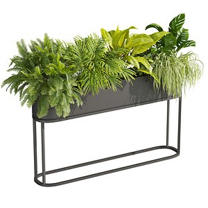 plant vol 877 - ampelous - hanging - monstera - pothos 3D model