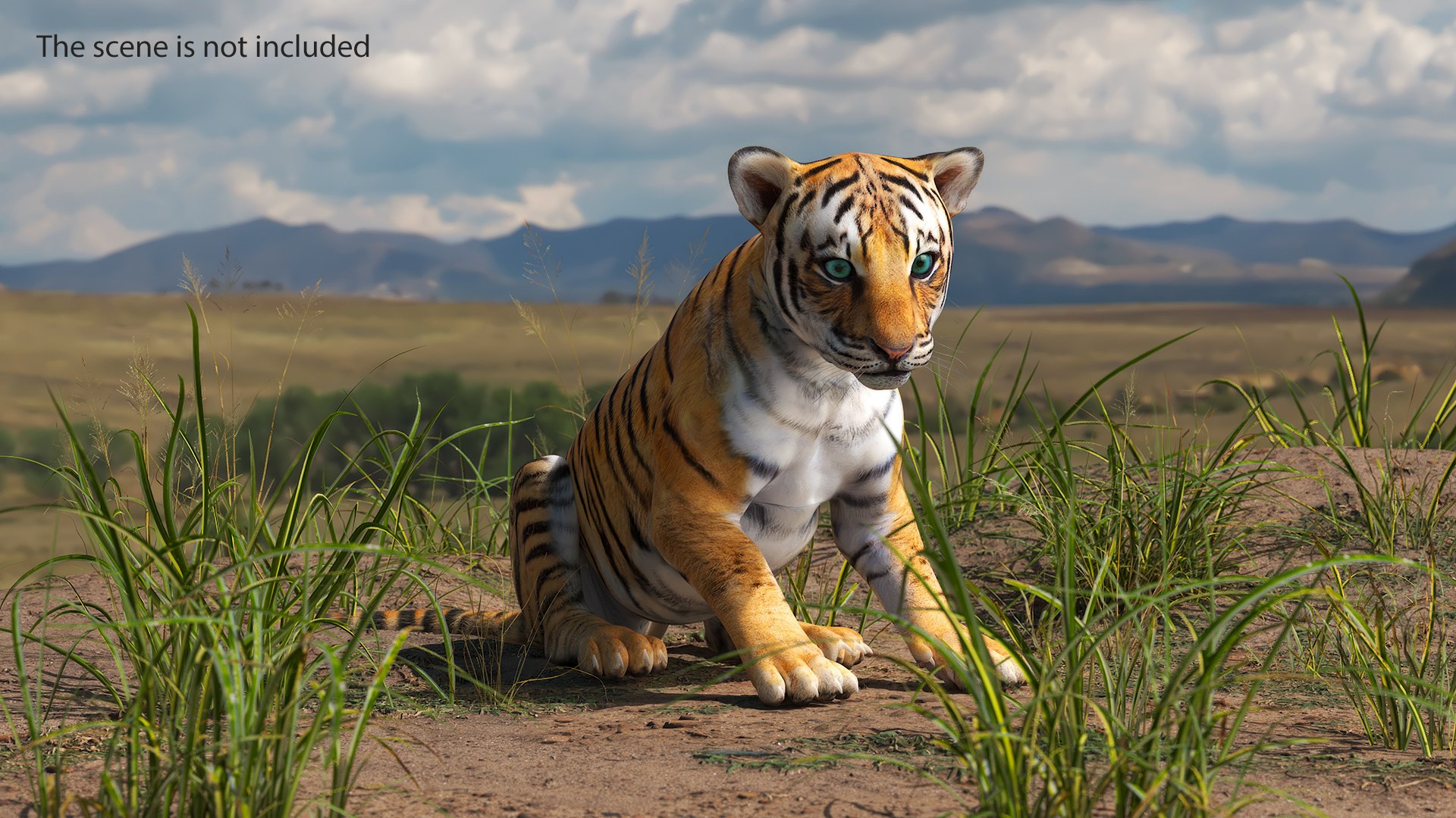 Tiger Cub Sitting for 3D Print 3D model https://p.turbosquid.com/ts-thumb/bs/Kkgya4/jb/tiger_cub_sitting_003/jpg/1739379693/1920x1080/fit_q87/c3d5fa51bf0b4a9264be633fbd0699e812290996/tiger_cub_sitting_003.jpg