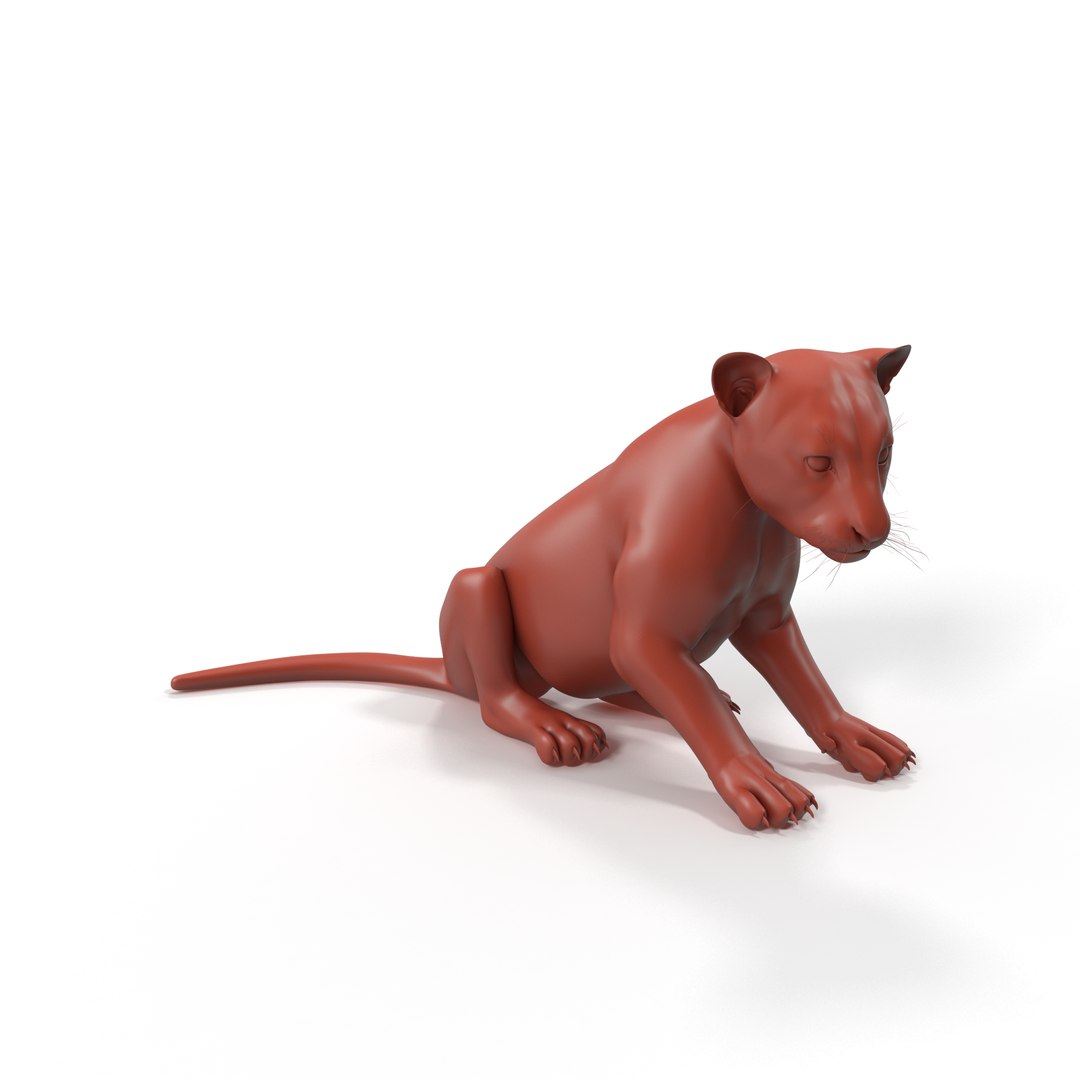 Tiger Cub Sitting for 3D Print 3D model https://p.turbosquid.com/ts-thumb/bs/Kkgya4/wr/tiger_cub_sitting_for_3d_print_1003/jpg/1739379772/1920x1080/fit_q87/4a8e7c810649b38490321bba84ae3d3f998e0c30/tiger_cub_sitting_for_3d_print_1003.jpg