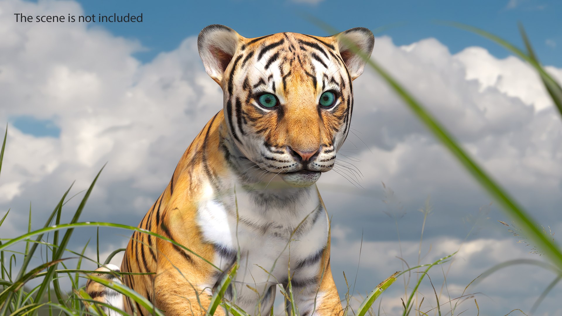 Tiger Cub Sitting for 3D Print 3D model https://p.turbosquid.com/ts-thumb/bs/Kkgya4/xD/tiger_cub_sitting_005/jpg/1739379701/1920x1080/fit_q87/fe4365b3c56a6a18efdd082c6f812f1bd2d7b102/tiger_cub_sitting_005.jpg