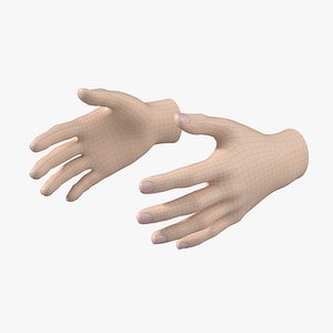 Female Hand Base Mesh 01 3D model