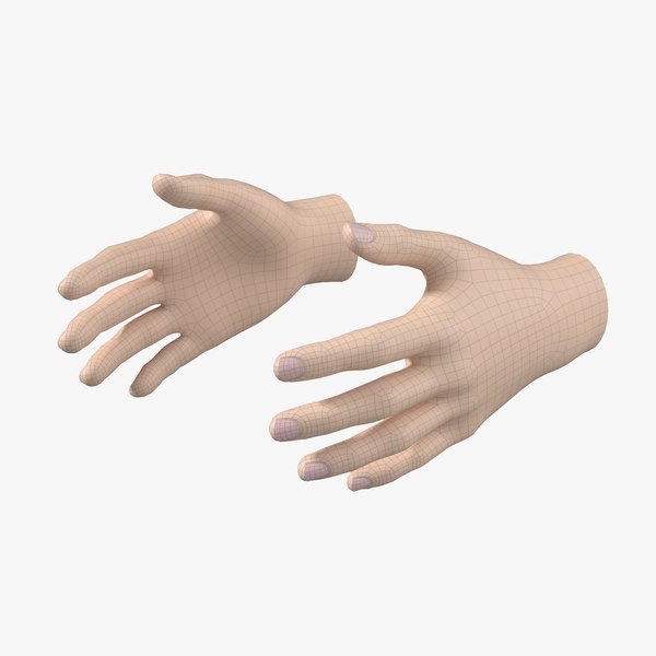 3D модель Женская сетка для рук 01 - TurboSquid 2180501