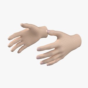 Female Hand Base Mesh 01