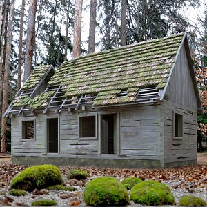 Abandoned Wooden Cabin 3D model