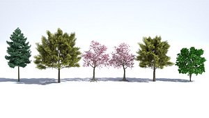 3D Realistic Trees Aset Pack