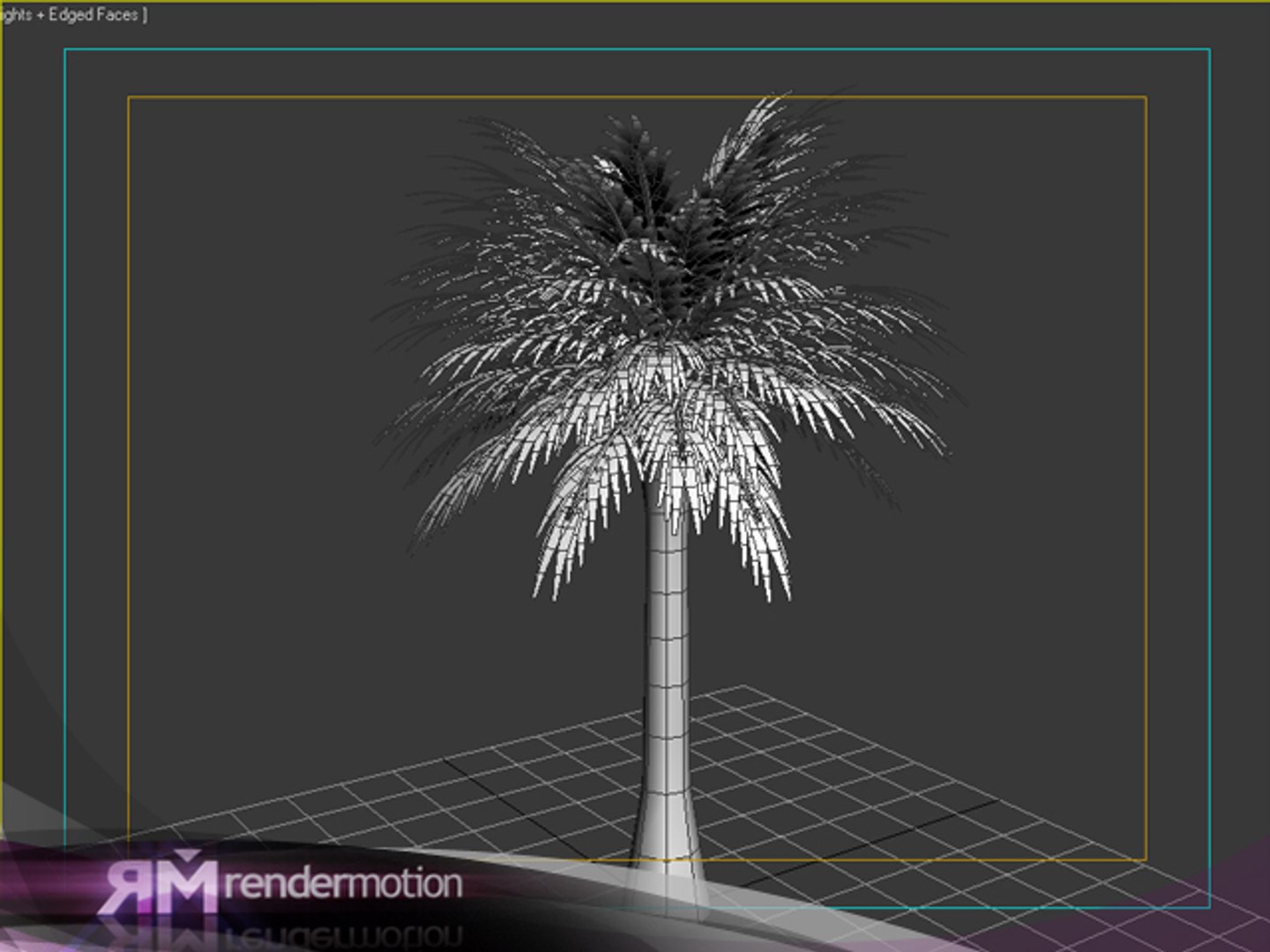 2 d2 c1 25 3d max https://p.turbosquid.com/ts-thumb/bs/b3fGav/UApCVhWY/palmeragrande_wireframe/jpg/1295555077/1920x1080/fit_q87/5ca2bee96d0a95ff63d685cc5f1488404c8c7fd0/palmeragrande_wireframe.jpg