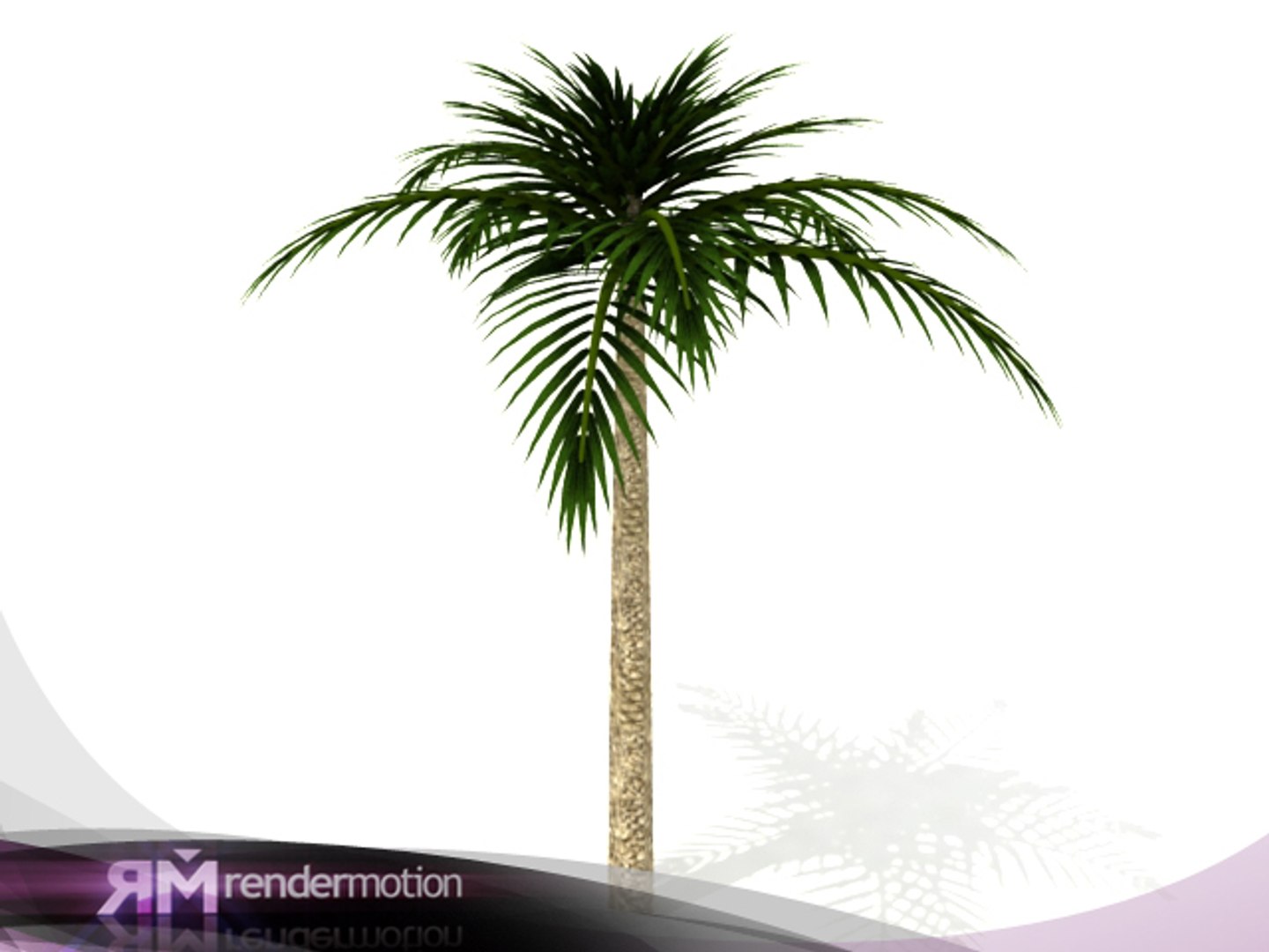 2 d2 c1 25 3d max https://p.turbosquid.com/ts-thumb/bs/b3fGav/UhLpynfg/palmerachica_vray/jpg/1295555045/1920x1080/fit_q87/808683400d770d758b32abb04e8b751c23c603da/palmerachica_vray.jpg