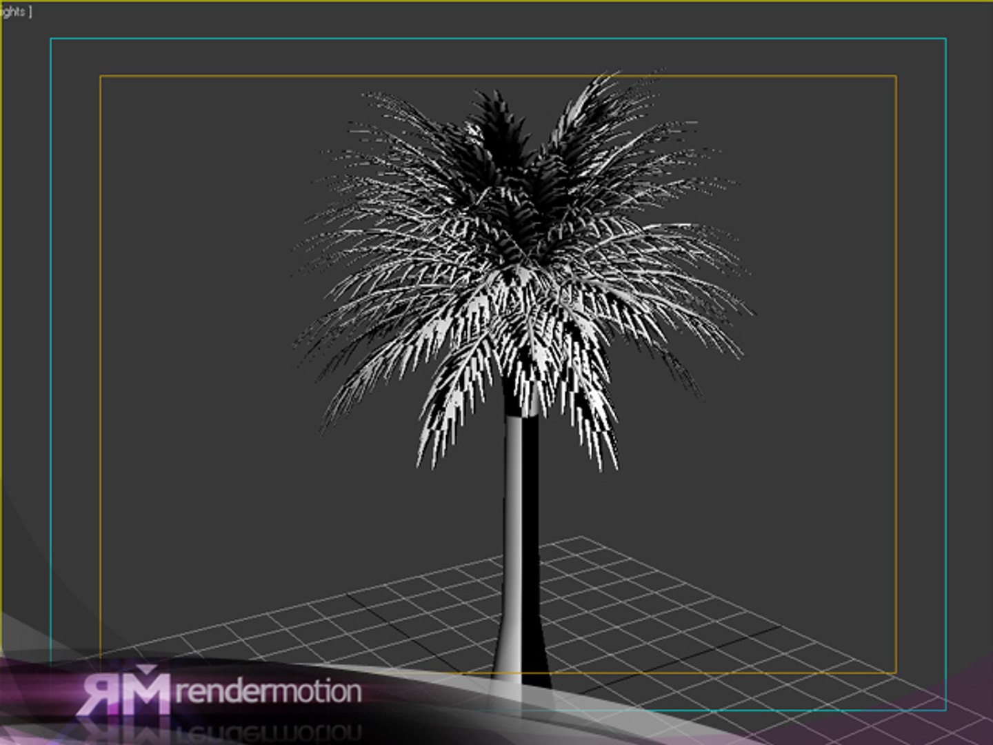 2 d2 c1 25 3d max https://p.turbosquid.com/ts-thumb/bs/b3fGav/mZ0TmQSQ/palmeragrande_uvs/jpg/1295555082/1920x1080/fit_q87/62e16e0b92029b1144b0620066a5bad5835bf503/palmeragrande_uvs.jpg