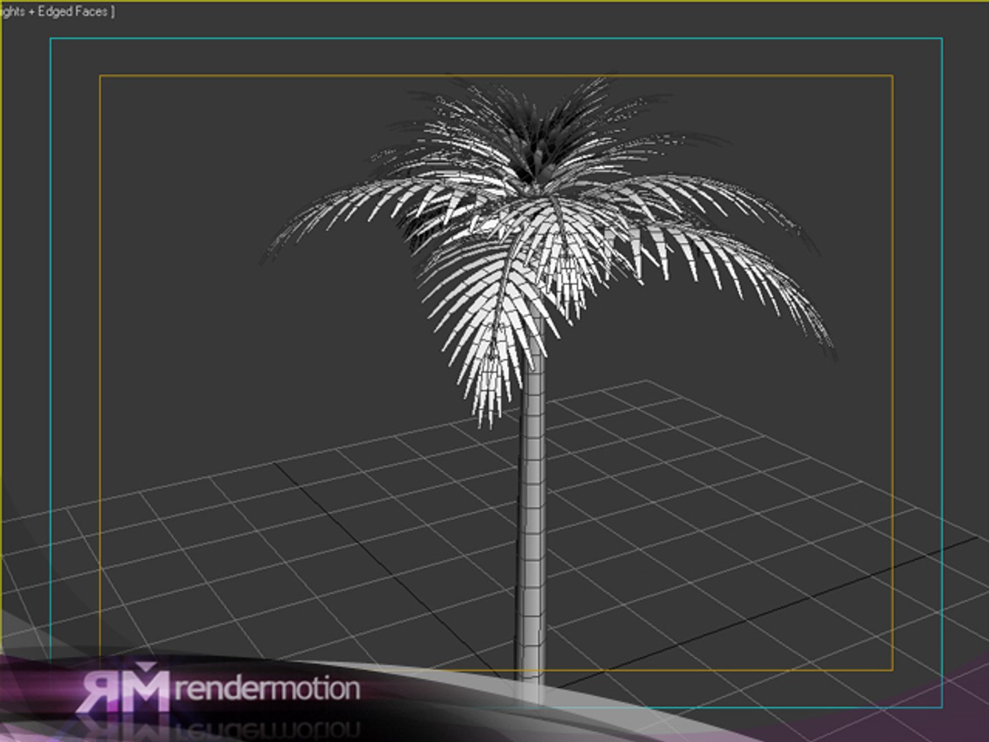 2 d2 c1 25 3d max https://p.turbosquid.com/ts-thumb/bs/b3fGav/nAQTzXS7/palmerachica_wireframe/jpg/1295555057/1920x1080/fit_q87/efacc7d31af55e528cec608f765644a5f1ff2099/palmerachica_wireframe.jpg
