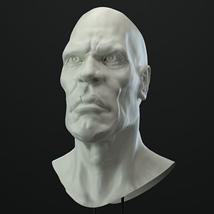 3D male character head