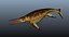 shonisaurus aquatic reptile 3D model