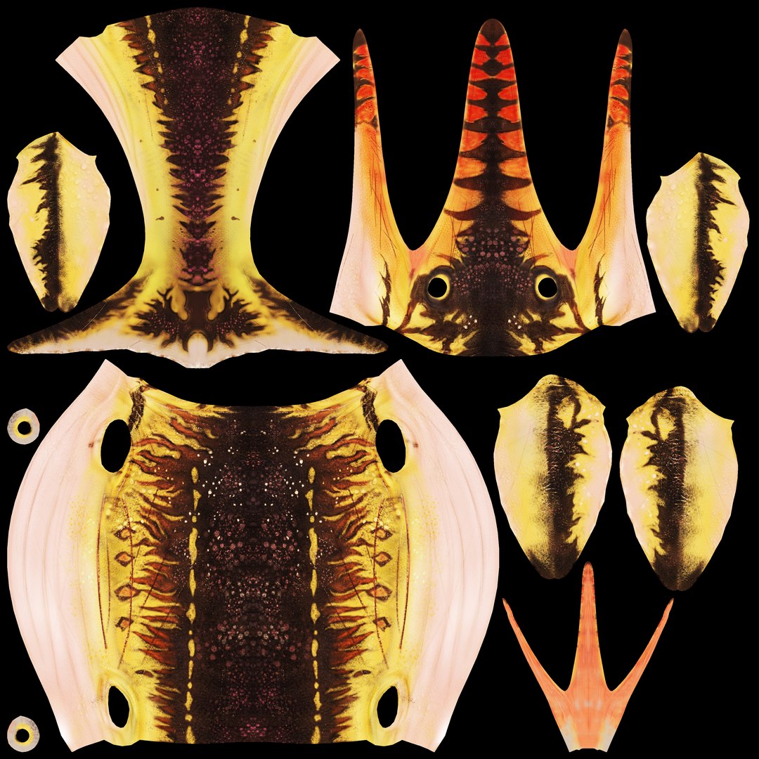 shonisaurus aquatic reptile 3D model https://p.turbosquid.com/ts-thumb/bt/18iOXF/gl9vYWLa/xiao_ni_long_c_4k/jpg/1501635114/1920x1080/fit_q87/4b5185d041f6d13d1565153be8b8c75c8aeb3fd7/xiao_ni_long_c_4k.jpg