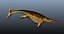 shonisaurus aquatic reptile 3D model