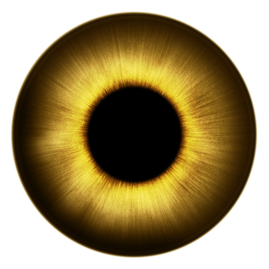 shonisaurus aquatic reptile 3D model https://p.turbosquid.com/ts-thumb/bt/18iOXF/yiyMIZ19/yan_qiu/jpg/1501635115/1920x1080/fit_q87/338aaaa8b2b70f3d29137e3d5245e1c52bcc36bd/yan_qiu.jpg