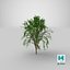 3D Tree 05