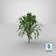 3D Tree 05