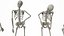 Poses de pie de esqueleto - Modelo 3D de baja poli