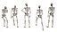 Poses de pie de esqueleto - Modelo 3D de baja poli