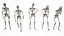 Poses de pie de esqueleto - Modelo 3D de baja poli