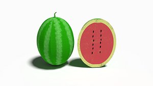cartoon watermelon model