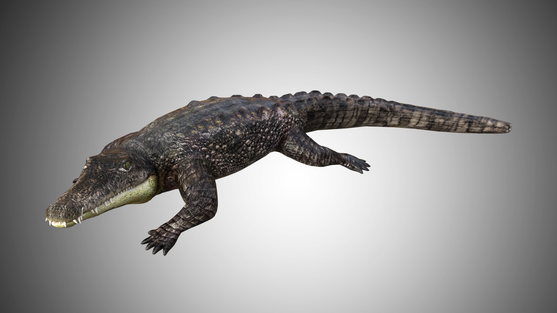 3D Crocodile Alligator - TurboSquid 1616365