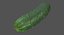 3D realistic cucumber model