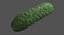 3D realistic cucumber model