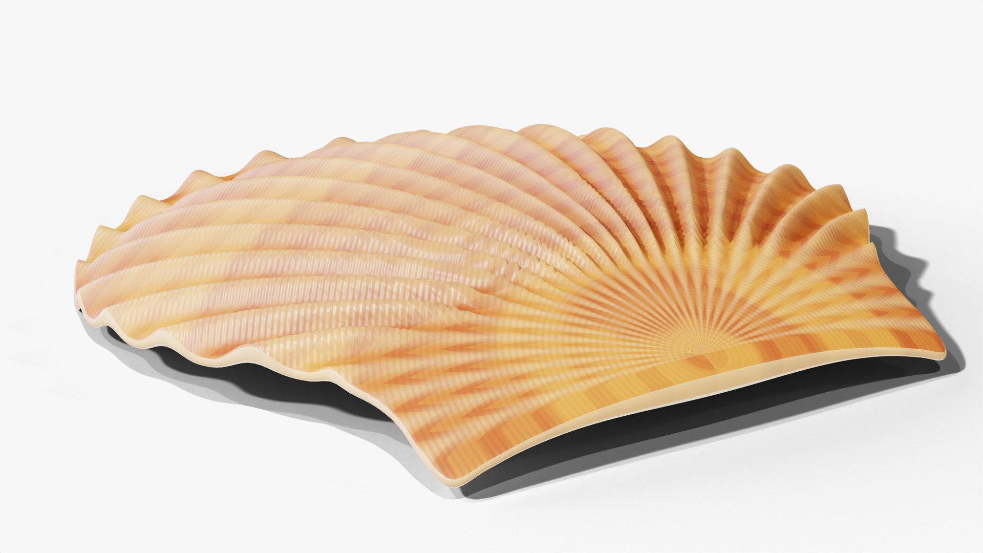 3D Scallop Shell - PBR model https://p.turbosquid.com/ts-thumb/bt/ZHJdUj/0B/02_scallop_02_hero/jpg/1791639379/1920x1080/fit_q87/e2ad4b203fa623d5a94711f8b392869b944ce5fe/02_scallop_02_hero.jpg