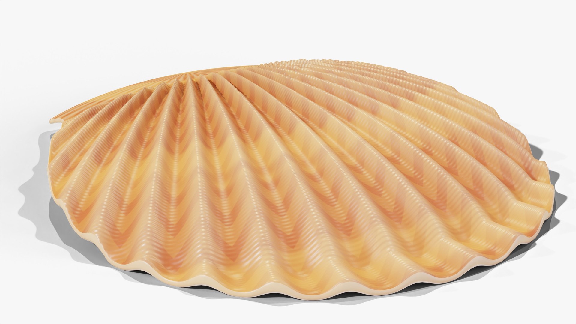 3D Scallop Shell - PBR model https://p.turbosquid.com/ts-thumb/bt/ZHJdUj/B5/03_scallop_03_back/jpg/1791639379/1920x1080/fit_q87/556dc6839d123e365c100676a7be801680f50ead/03_scallop_03_back.jpg