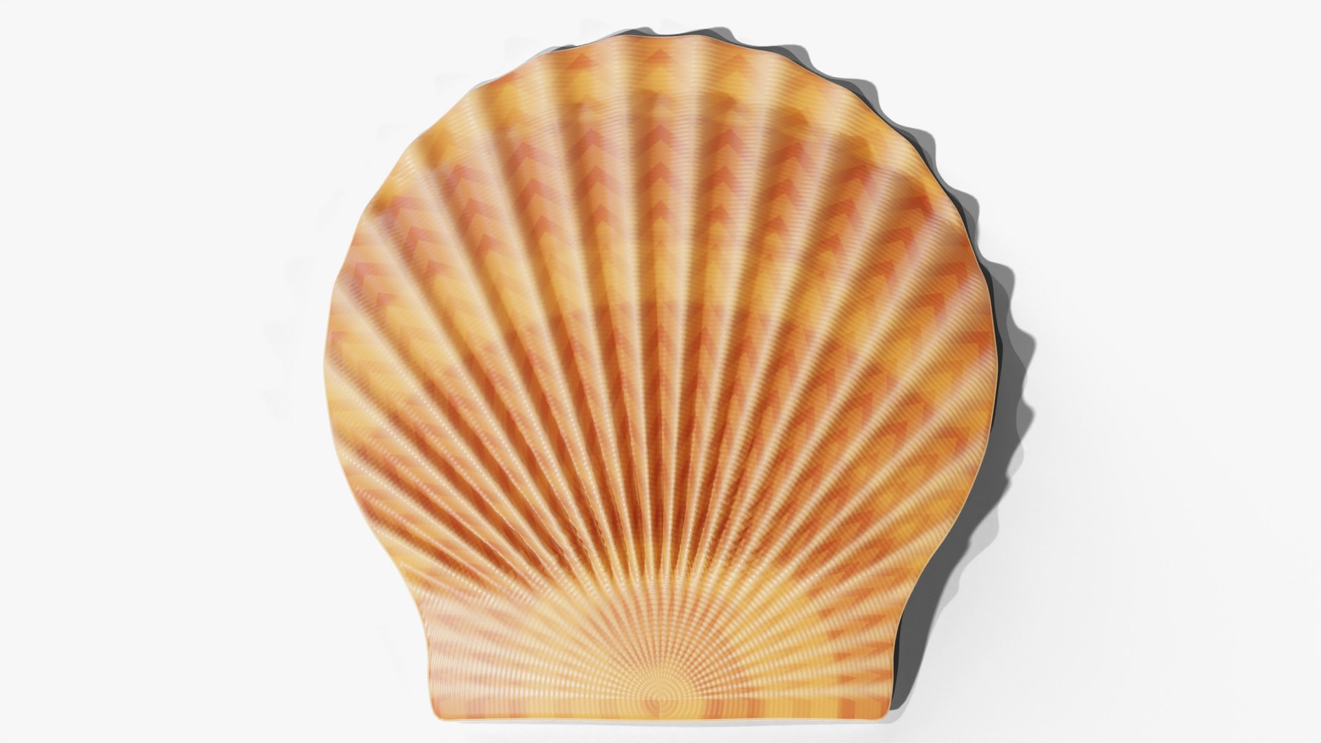 3D Scallop Shell - PBR model https://p.turbosquid.com/ts-thumb/bt/ZHJdUj/Nq/05_scallop_05_top/jpg/1791639395/1920x1080/fit_q87/586ab98aa152c04f89129bb2d6b87909791e2abf/05_scallop_05_top.jpg