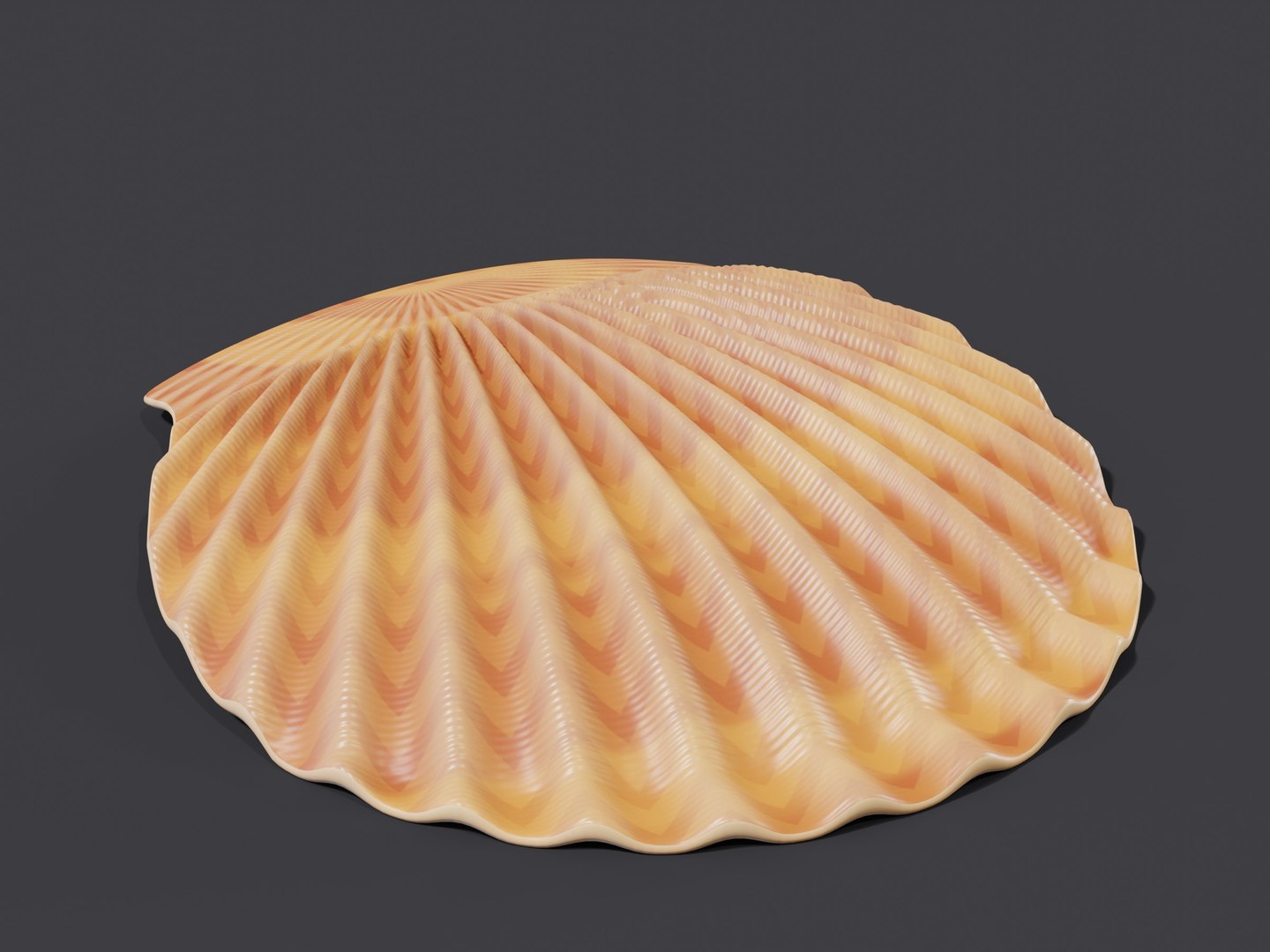3D Scallop Shell - PBR model https://p.turbosquid.com/ts-thumb/bt/ZHJdUj/Qq/12_scallop_21_back/jpg/1791639435/1920x1080/fit_q87/8b29862dfaf2c4b3eff6416cb920050720945a07/12_scallop_21_back.jpg