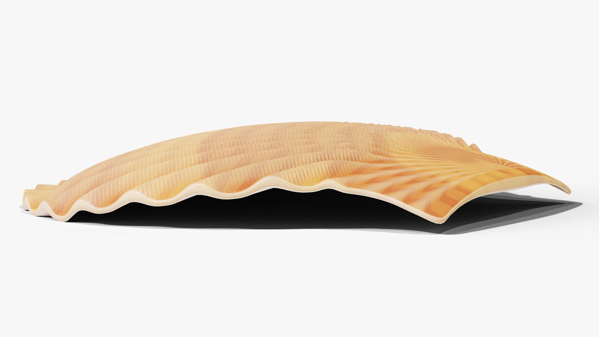 3D Scallop Shell - PBR model https://p.turbosquid.com/ts-thumb/bt/ZHJdUj/zZ/06_scallop_06_low/jpg/1791639396/1920x1080/fit_q87/ed7a73535c7798e4c984b9c32d865141ebf55e06/06_scallop_06_low.jpg