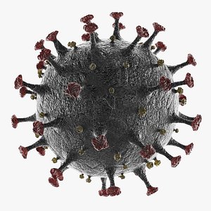3D covid-19 coronavirus model