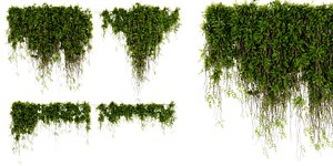 Collection plant vol 425 - blender model 3D model