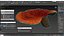 Reishi Mushroom Red