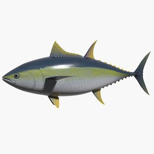 3d yellowfin kihada