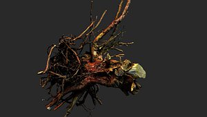 3D model tree roots dry wooden stump debris pt3 PBR photogrammetry