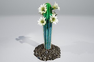 cactus pbr 3D model