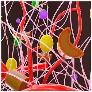 3D Dense connective tissue model