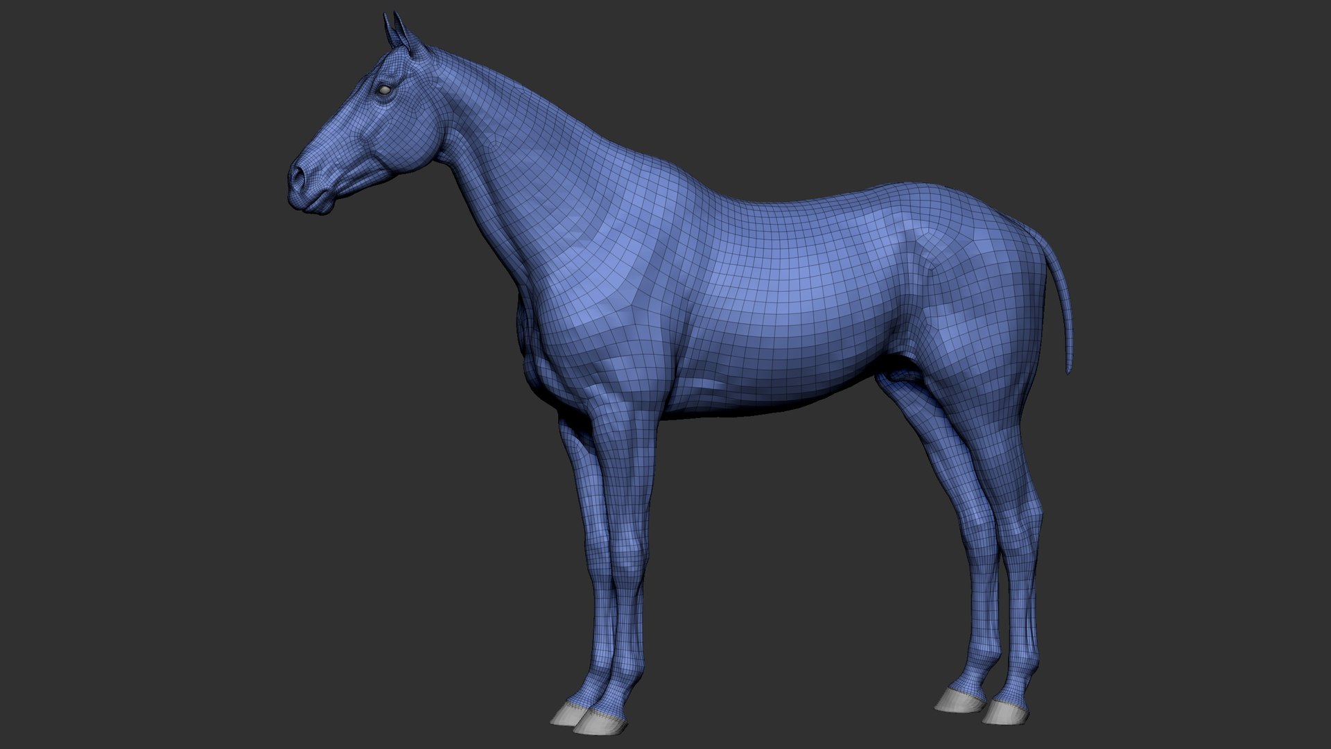 3D model animal horse mammal https://p.turbosquid.com/ts-thumb/bu/6TN1y7/vG/q3/jpg/1614542333/1920x1080/fit_q87/d28cce2a4a69608a8b39c5357dd401ceaf711a70/q3.jpg