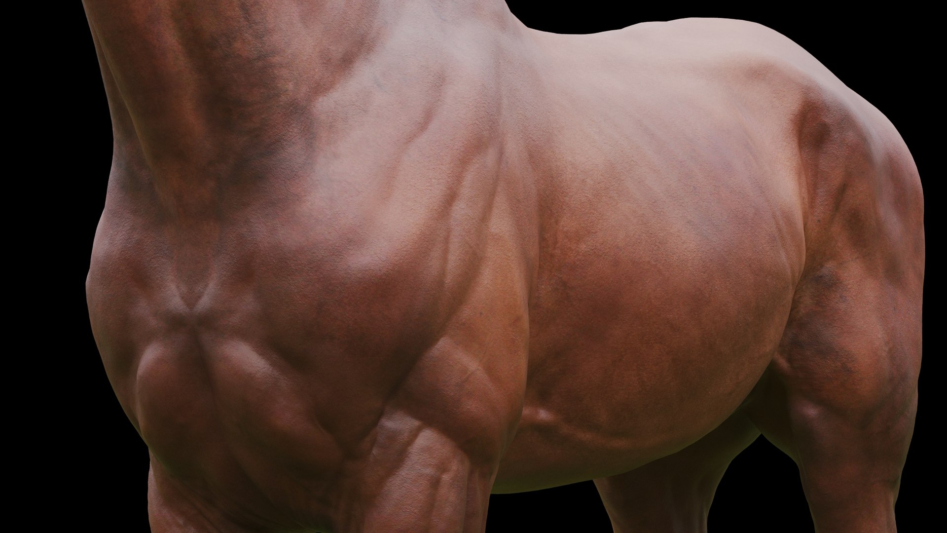 3D model animal horse mammal https://p.turbosquid.com/ts-thumb/bu/6TN1y7/xK/q15_rough2/jpg/1614542434/1920x1080/fit_q87/9e811c0fb08a6d5b583f2e63abb866990599a938/q15_rough2.jpg