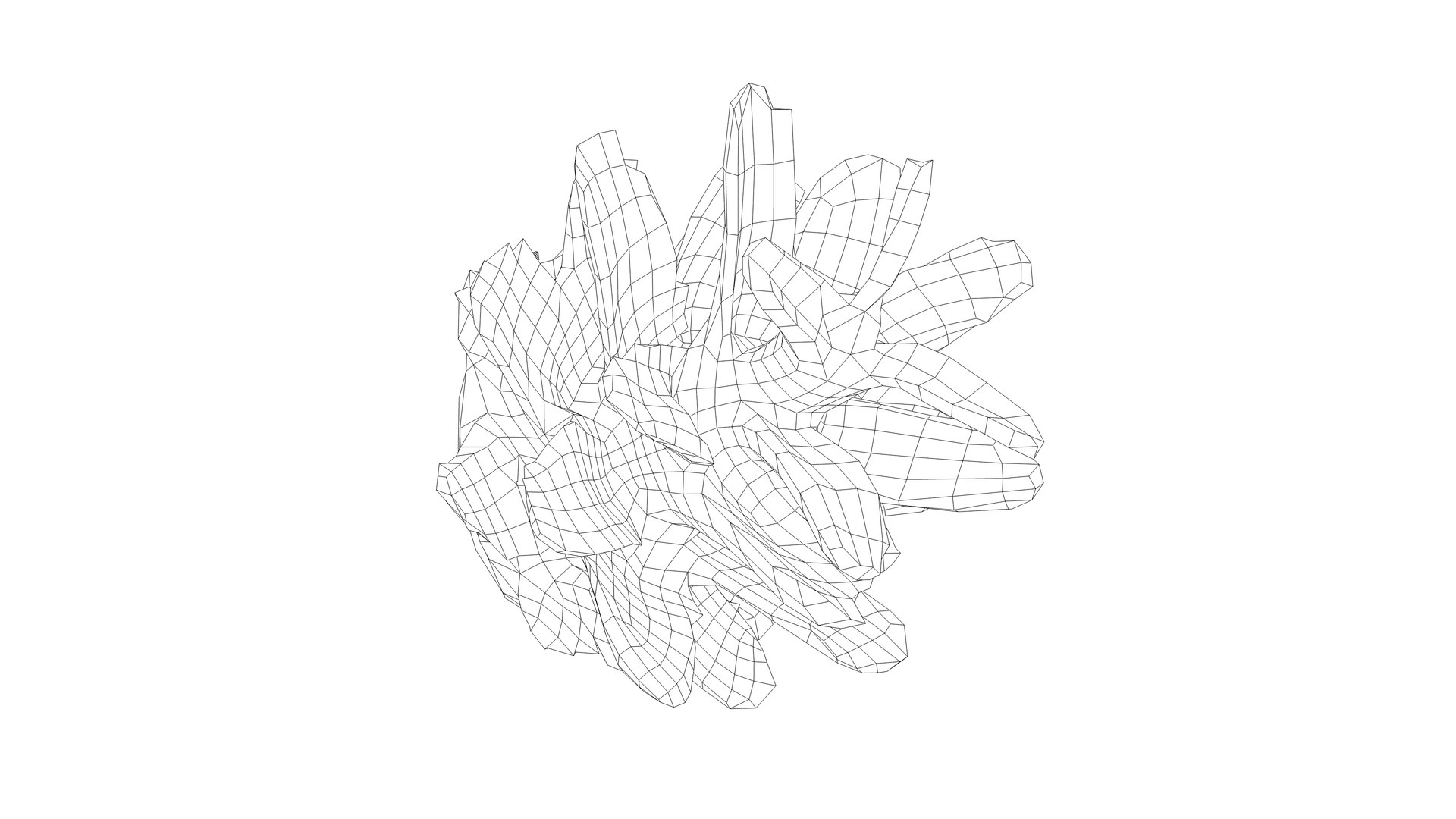 Photorealistic 3D Scan Of Pine Cone Model TurboSquid 2294028