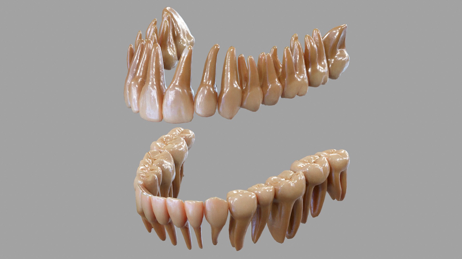 gums teeth 3D model https://p.turbosquid.com/ts-thumb/bu/DTqwOR/gr/tbrender_viewport_026/png/1617110472/1920x1080/fit_q87/279c684333cc4dfa8401ea67a5c3394929be52ac/tbrender_viewport_026.jpg