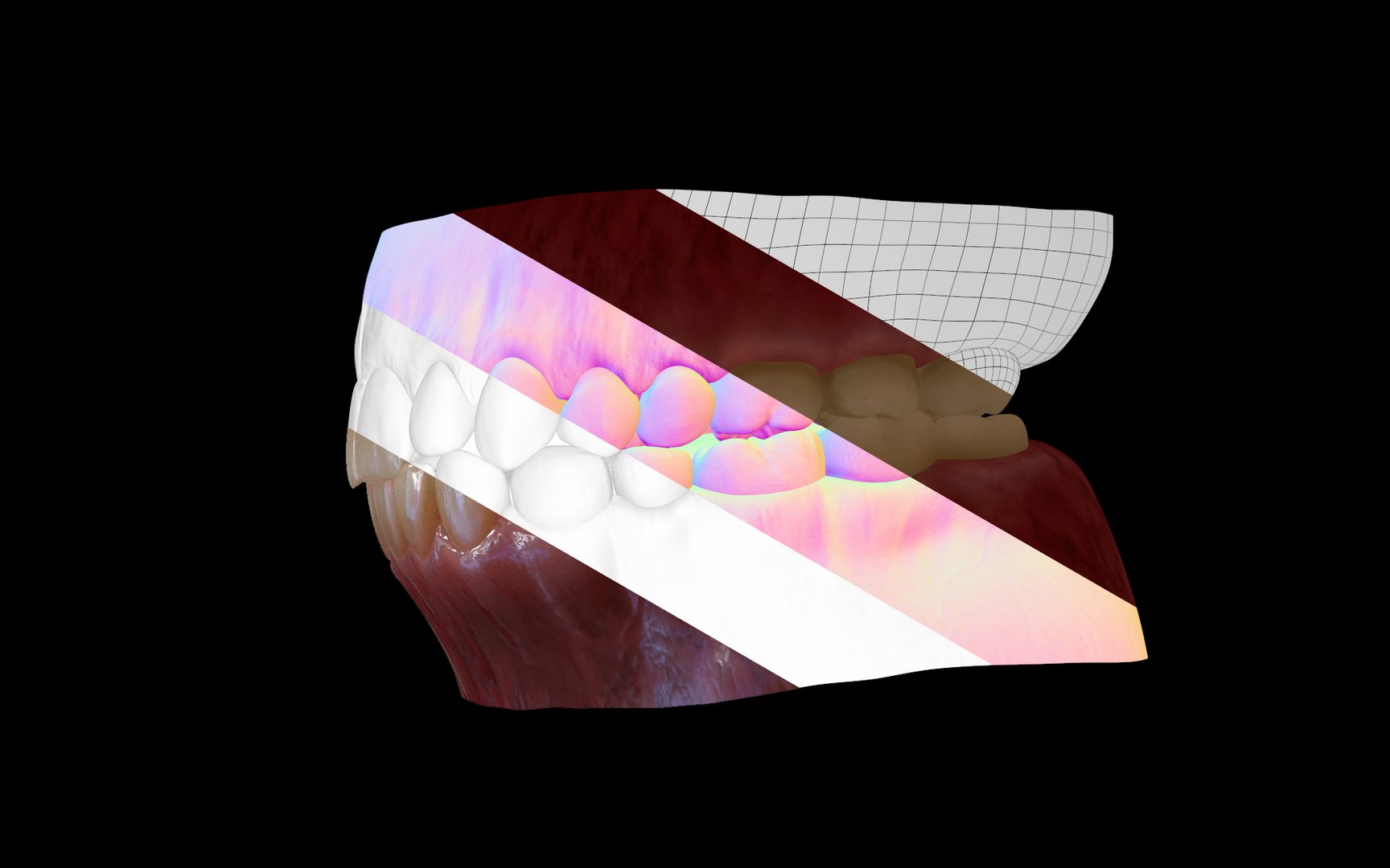 gums teeth 3D model https://p.turbosquid.com/ts-thumb/bu/DTqwOR/lb/teeth_uv/jpg/1616975834/1920x1080/fit_q87/c622017336edd16a7aa04c85c0d1c65196660609/teeth_uv.jpg